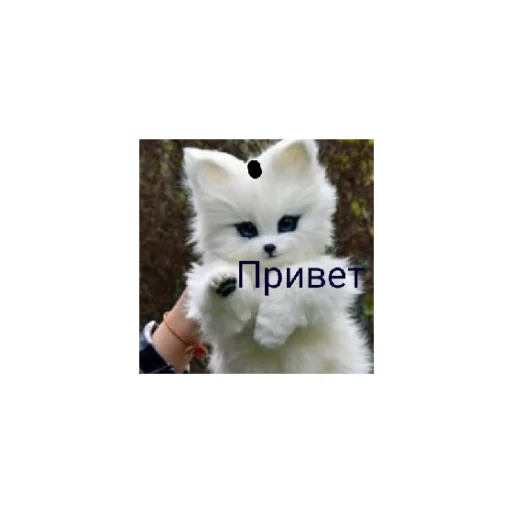 😄 Стикер «Про» для Telegram
