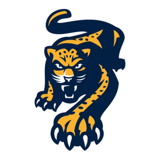 🐆 Стикер «pro hockey» для Telegram