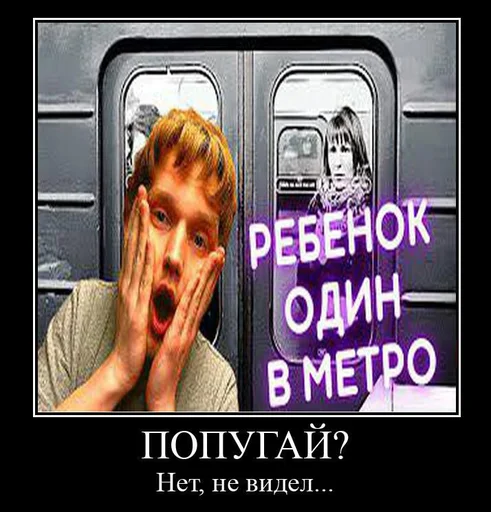 🦜 Стикер «Pro metro mems» для Telegram