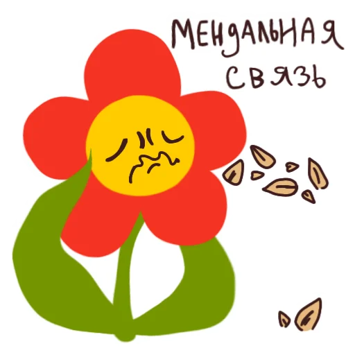 🥜 Стикер «Цветочек» для Telegram