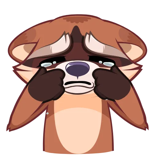Стикер 11 Proha Raccoon