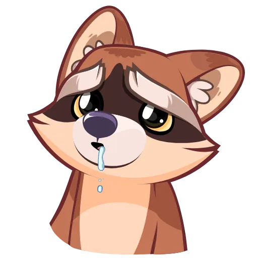 Стикер 48 Proha Raccoon