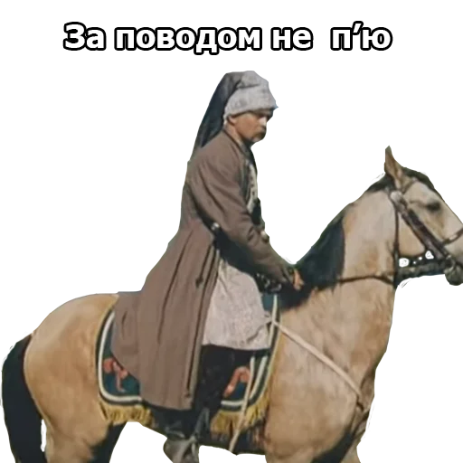🚴‍♂️ Стикер «Пропала Грамота (від Буковинського Куреня)» для Telegram