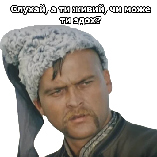 🧐 Стикер «Пропала Грамота (від Буковинського Куреня)» для Telegram