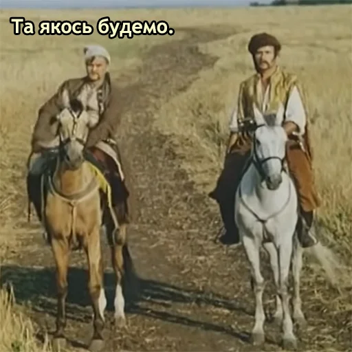 🫡 Стикер «Пропала Грамота (від Буковинського Куреня)» для Telegram