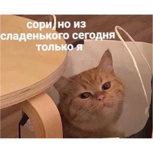 💚 Стикер «Проснулся» для Telegram