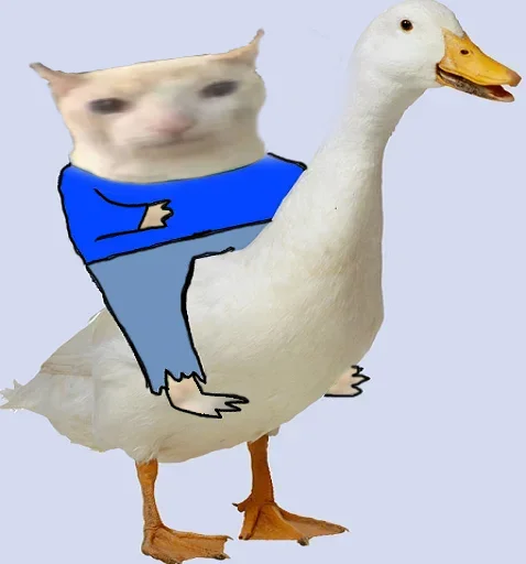 🦆 Стикер «kotek» для Telegram