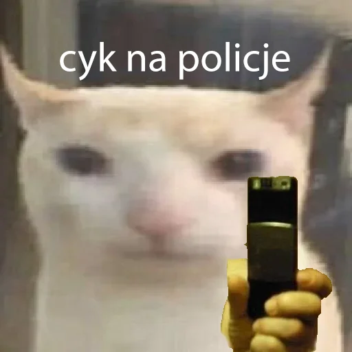 📱 Стикер «kotek» для Telegram