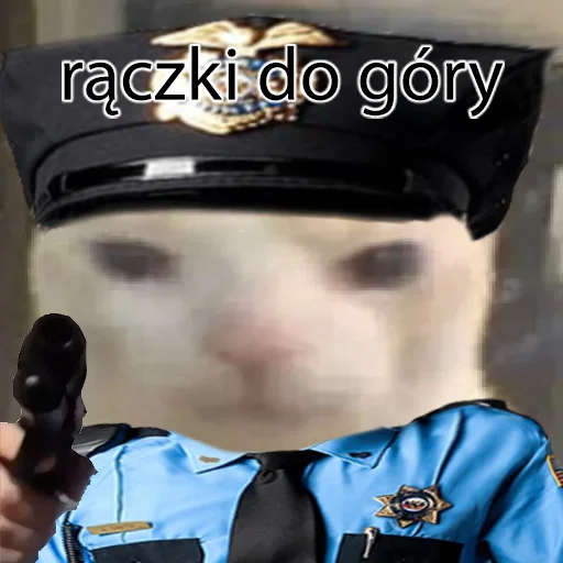 👮‍♂️ Стикер «kotek» для Telegram