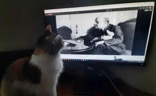 😺 Стикер «Pipisi» для Telegram