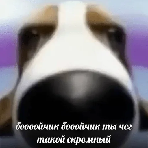 😁 Стикер «Собаки Хуяки» для Telegram