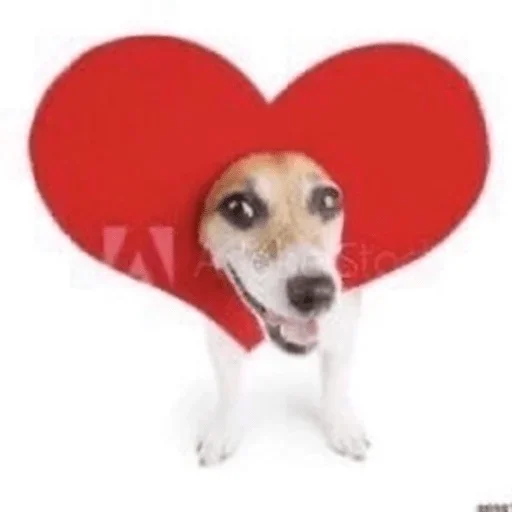 ❤️ Стикер «Собаки Хуяки» для Telegram