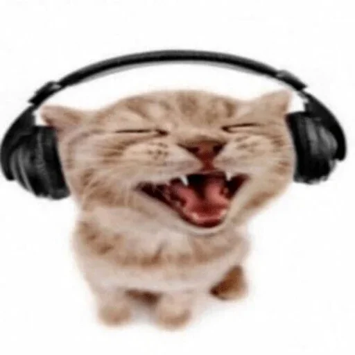 🎧 Стикер «Собаки Хуяки» для Telegram