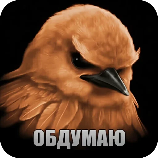 🐦 Стикер «птички (lerixxqwz)» для Telegram