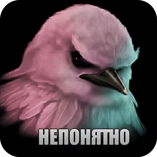 🐦 Стикер «птички (lerixxqwz)» для Telegram