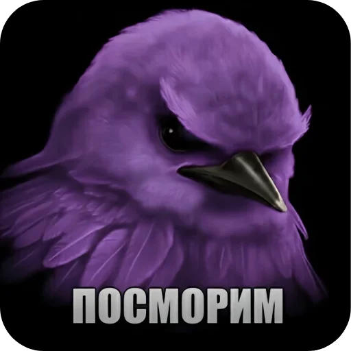 🌸 Стикер «птички (lerixxqwz)» для Telegram