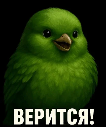 🌟 Стикер «птички (lerixxqwz)» для Telegram