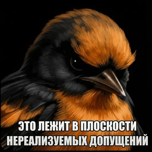 🌟 Стикер «птички (lerixxqwz)» для Telegram