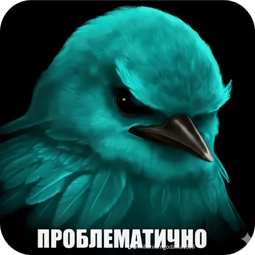 🐦 Стикер «птички (lerixxqwz)» для Telegram