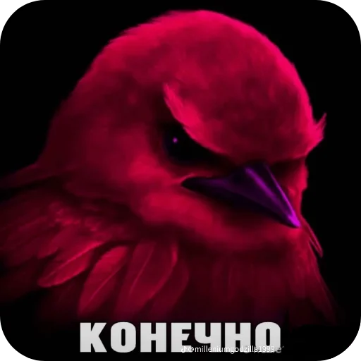 🌸 Стикер «птички (lerixxqwz)» для Telegram