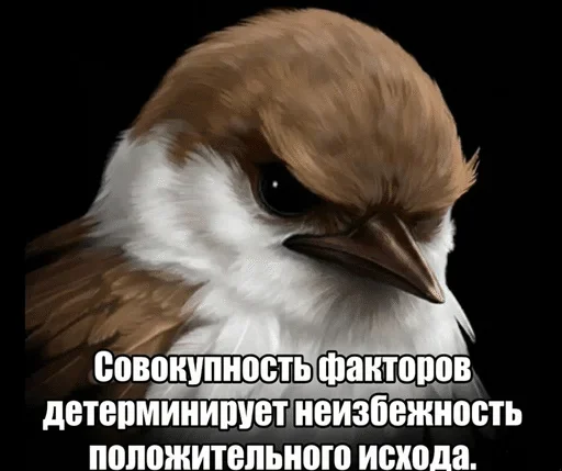 🌟 Стикер «птички (lerixxqwz)» для Telegram
