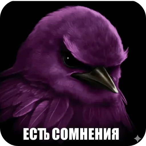 🌸 Стикер «птички (lerixxqwz)» для Telegram