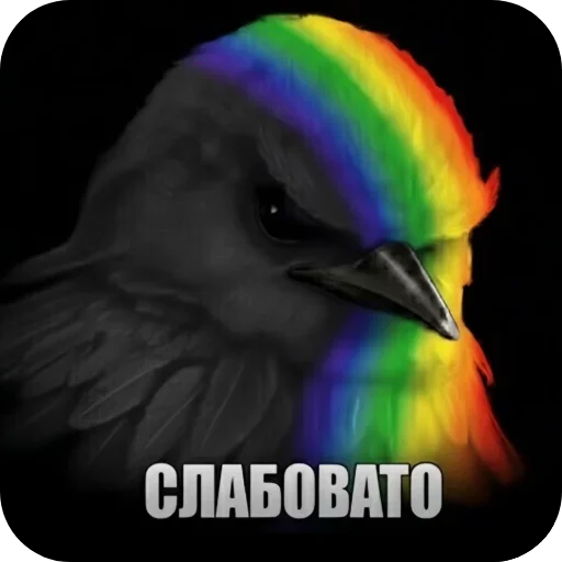 🐦 Стикер «птички (lerixxqwz)» для Telegram