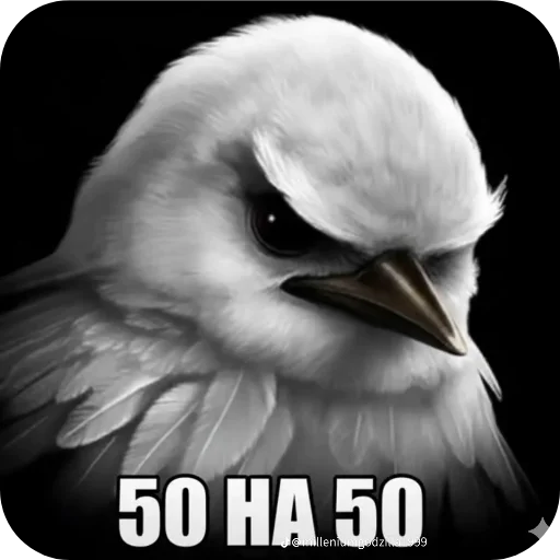🐦 Стикер «птички (lerixxqwz)» для Telegram