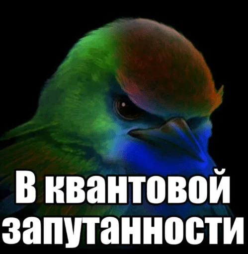 🌟 Стикер «птички (lerixxqwz)» для Telegram