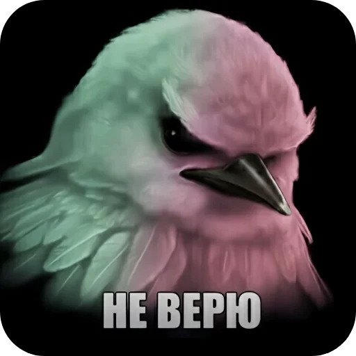 🐦 Стикер «птички (lerixxqwz)» для Telegram