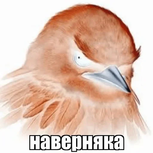 🌟 Стикер «птички (lerixxqwz)» для Telegram
