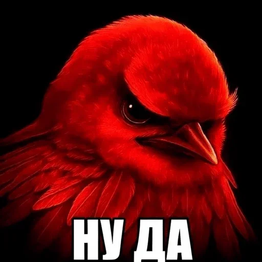 🌟 Стикер «птички (lerixxqwz)» для Telegram