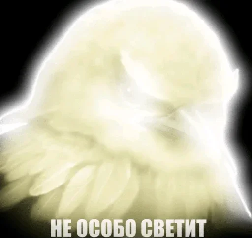 🌟 Стикер «птички (lerixxqwz)» для Telegram