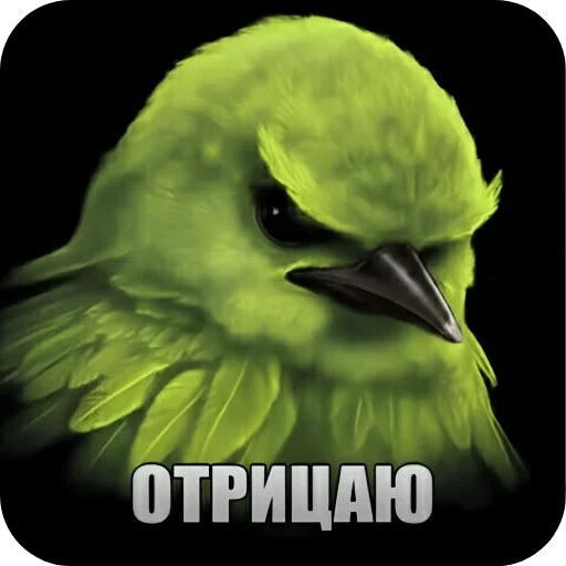 🐦 Стикер «птички (lerixxqwz)» для Telegram