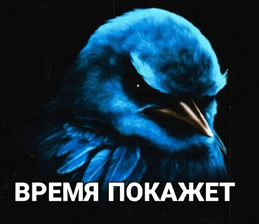 🌟 Стикер «птички (lerixxqwz)» для Telegram