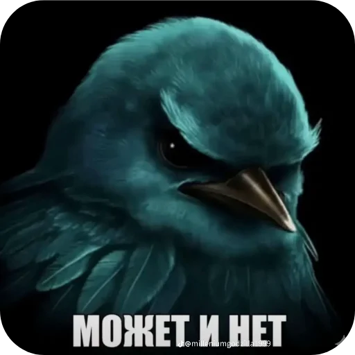 🐦 Стикер «птички (lerixxqwz)» для Telegram