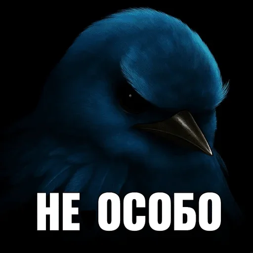 🌟 Стикер «птички (lerixxqwz)» для Telegram