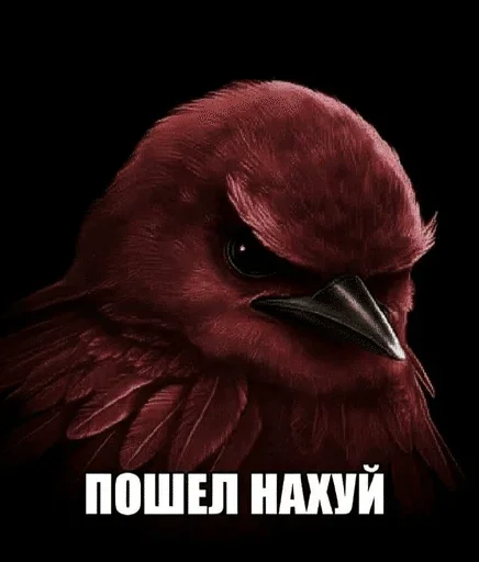 🌟 Стикер «птички (lerixxqwz)» для Telegram