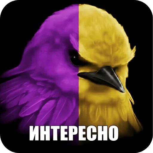 🐦 Стикер «птички (lerixxqwz)» для Telegram
