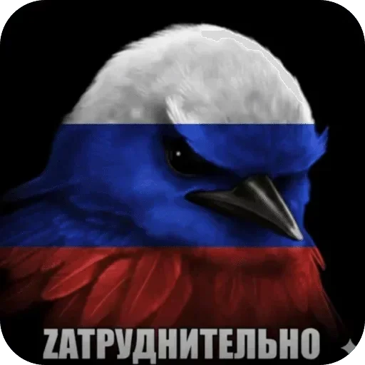 🌟 Стикер «Птички гусь гей» для Telegram