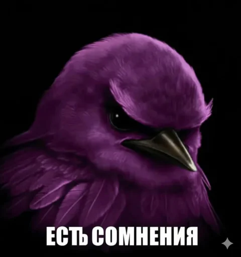 🤩 Стикер «Птички гусь гей» для Telegram
