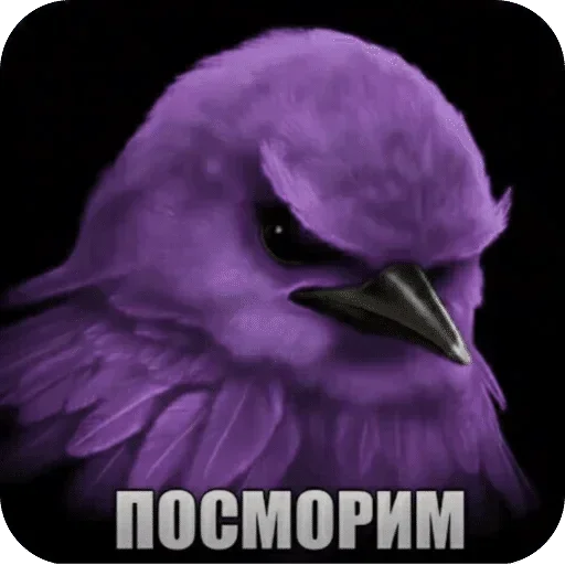 🌟 Стикер «Птички гусь гей» для Telegram