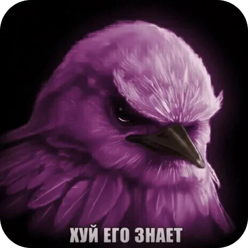 🌟 Стикер «Птички гусь гей» для Telegram