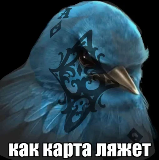 🤩 Стикер «Птички гусь гей» для Telegram