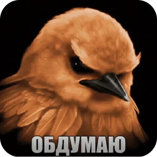 🌟 Стикер «Птички гусь гей» для Telegram