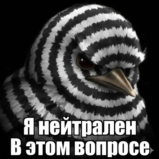 🤩 Стикер «Птички гусь гей» для Telegram