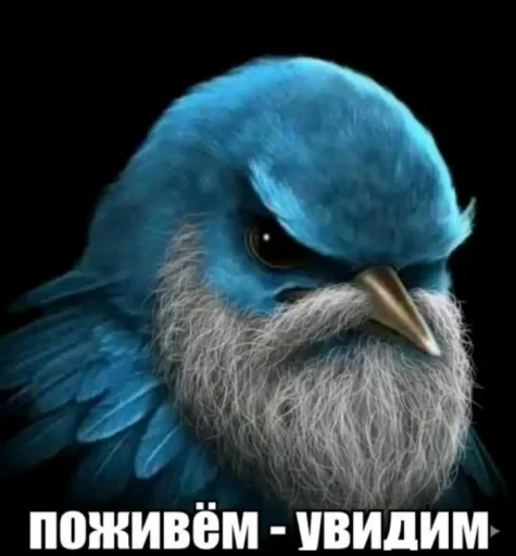 🤩 Стикер «Птички гусь гей» для Telegram