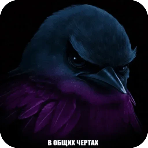 🌟 Стикер «Птички гусь гей» для Telegram