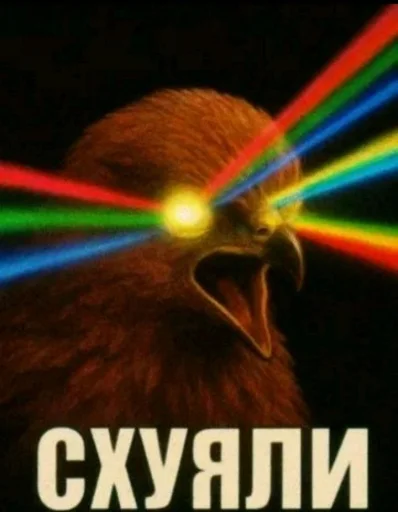 🤩 Стикер «Птички гусь гей» для Telegram