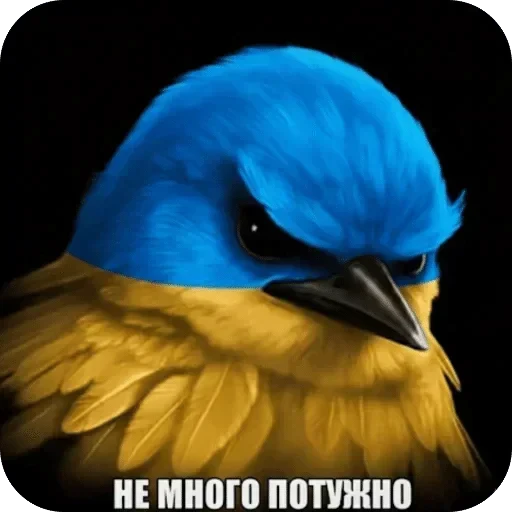 🌟 Стикер «Птички гусь гей» для Telegram